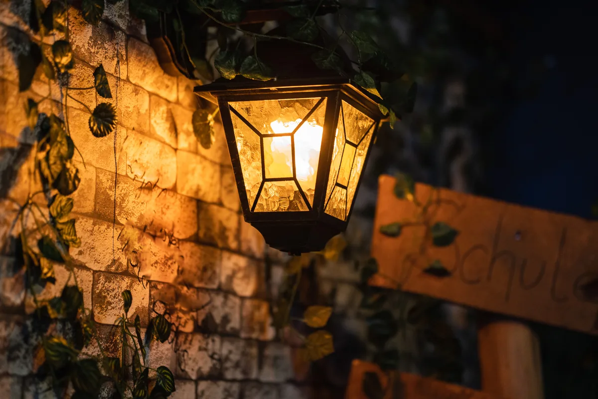 Escape Room Der verbotene Wald in Halle